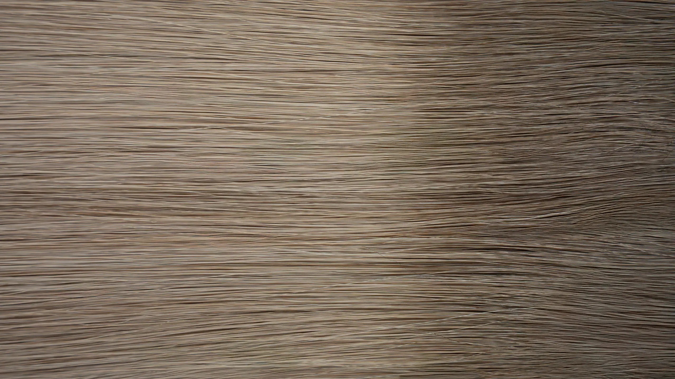 Platinum Single Swatch