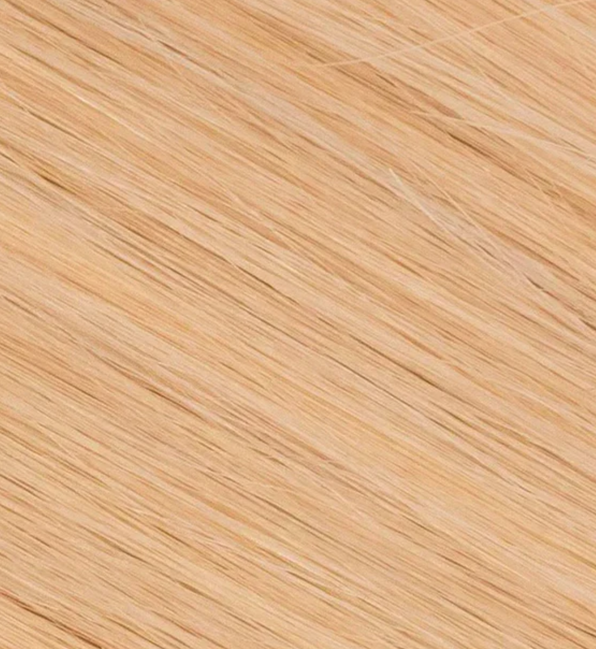 New Pro Collection - Tapes (22Inch)